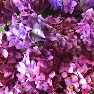 Meet your Posher, Shiva